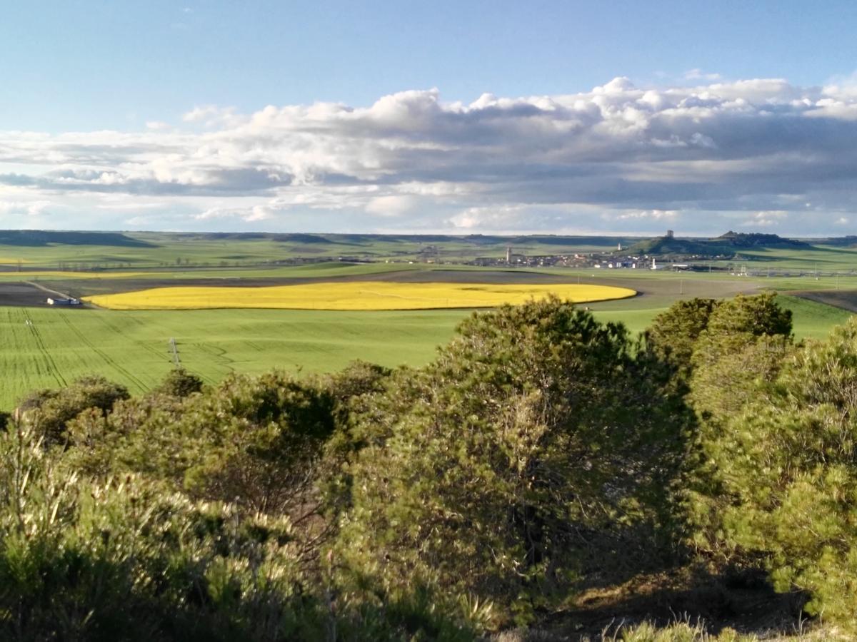 La Aldea Colorada Casa Rural Mota del Marqués 외부 사진